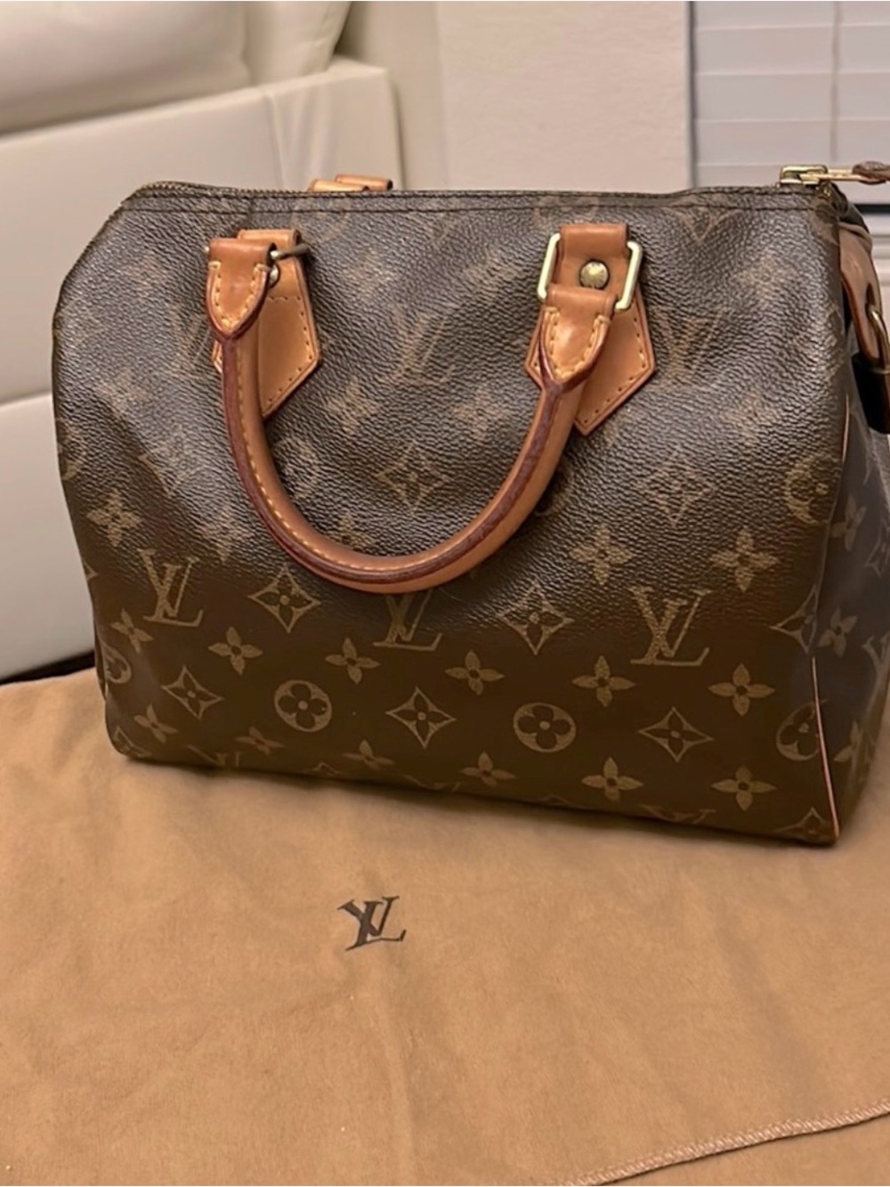 Louis Vuitton Speedy 25 monogram